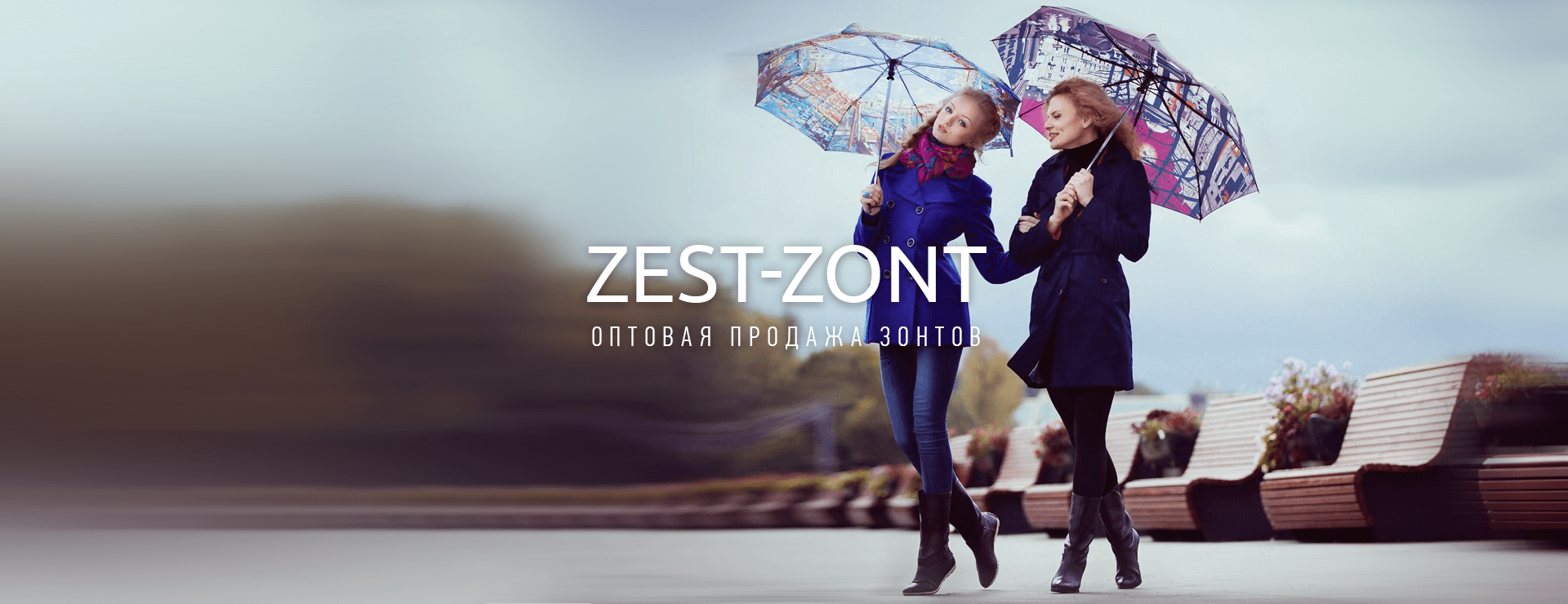 Разработка сайта фабрике зонтов «Zest»
